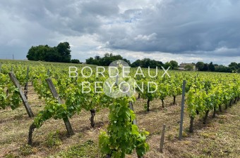Vignoble de 7 hectares, 20 ares et 80 centiares situé dans l'appellation Saint-Émilion Grand Cru.