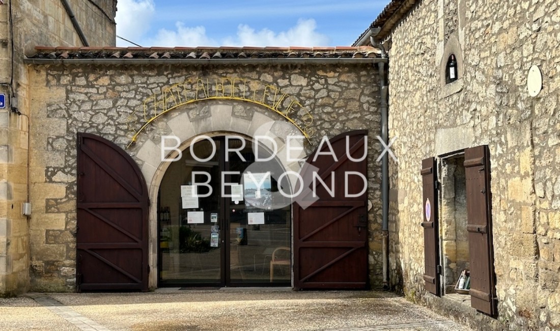 GIRONDE SAINT EMILION Vinyards for sale