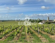 GIRONDE SAINT EMILION Vinyards for sale